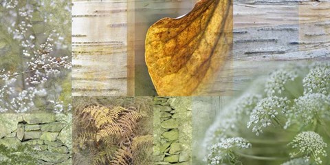 Framed White Woodland Collage Print