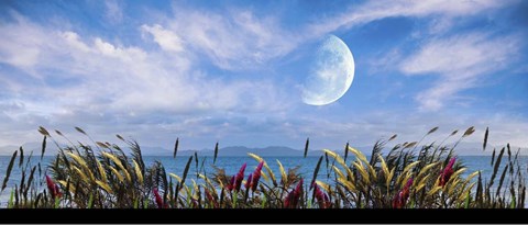 Framed Blowing in the Wind Print