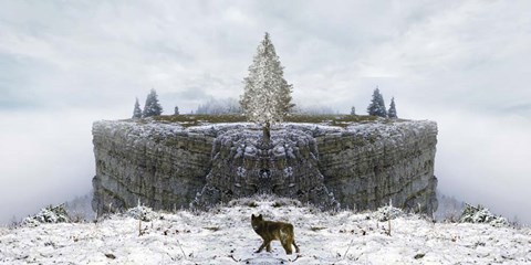 Framed Lone Wolf Print