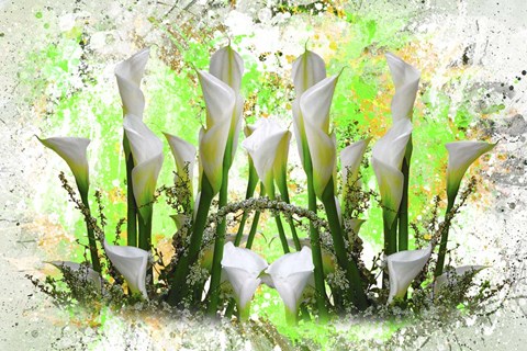 Framed White Splendor Print