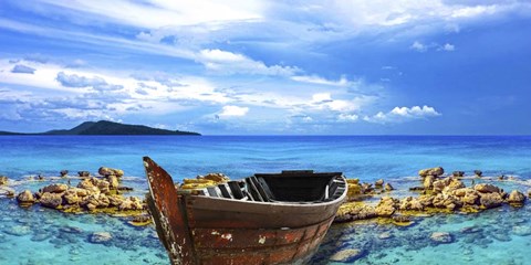 Framed Weathered Print