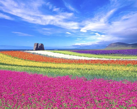 Framed Colorful Landscape Print