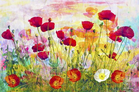 Framed Poppies Print