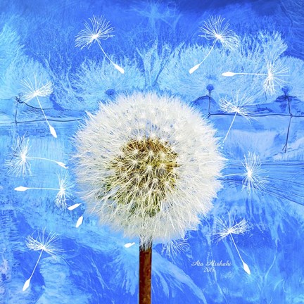 Framed Dandelion Print