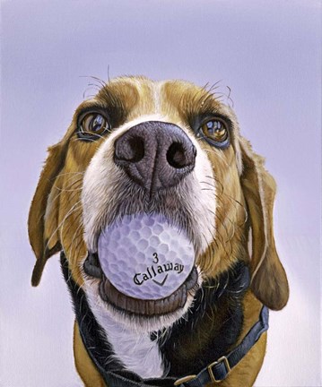 Framed Callaway 3 Print