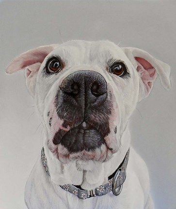 Framed Katinka Print