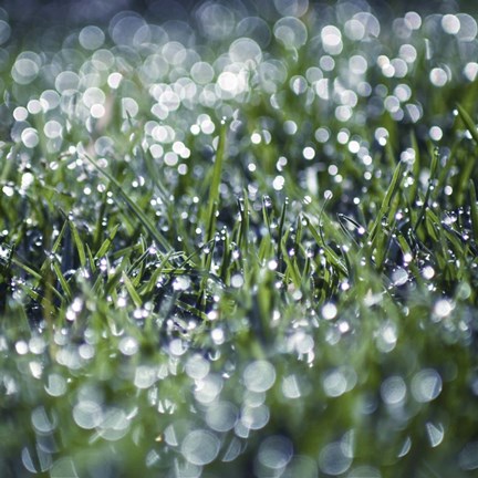 Framed Hide And Seek Print