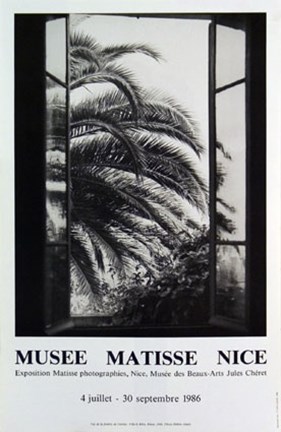 Framed Palm Tree Print