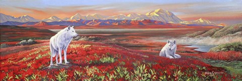 Framed Arctic Bond Print