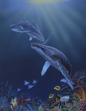 Framed Blue Silence Print