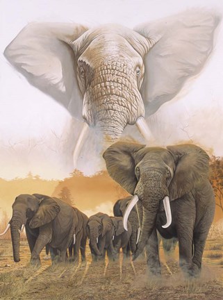 Framed Confrontation Print