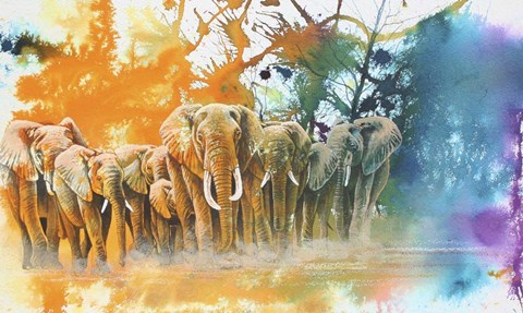Framed Elephant Tribe Print
