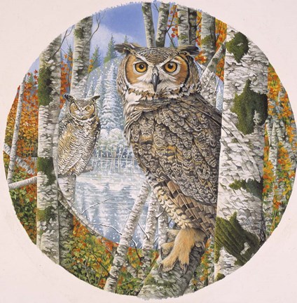 Framed Great Horned Camoflage Print