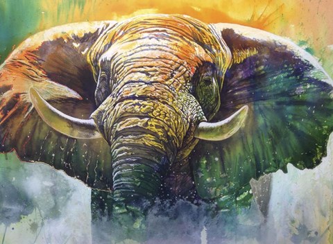 Framed Ivory Mists Print