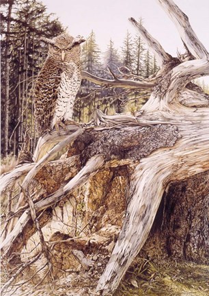 Framed Midnite Prince Print