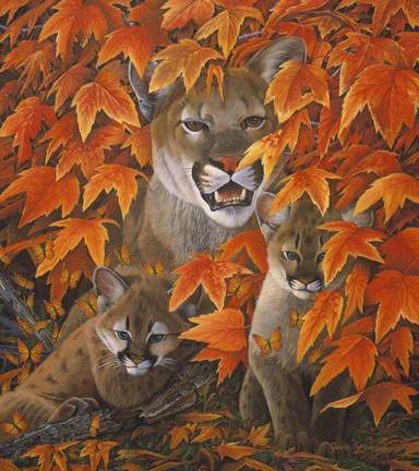 Framed Mountain Colors Print