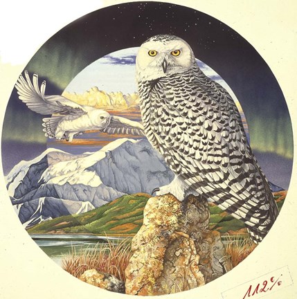 Framed Northern Lights Print