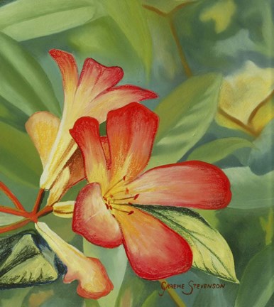 Framed Small Red Flower Print