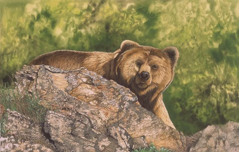 Framed Surprised Print