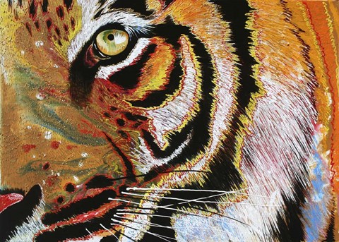Framed Tiger Burning Bright Print