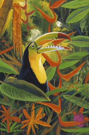 Framed Toucan Colors Print