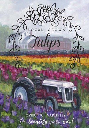Framed Tractoring Through The Tulips 1 Print