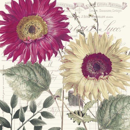 Framed Midnight Sun II Print