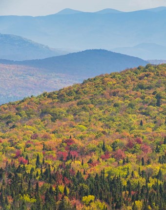 Framed Blazing Mountain Print
