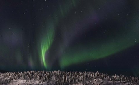 Framed Dancing Ribbons Print