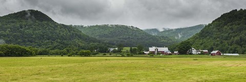 Framed Local Farm Print
