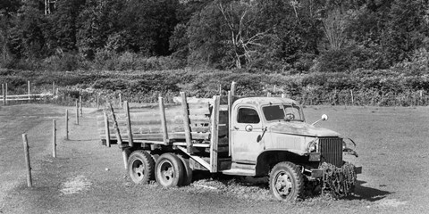 Framed Old Reliable - B&amp;W Print