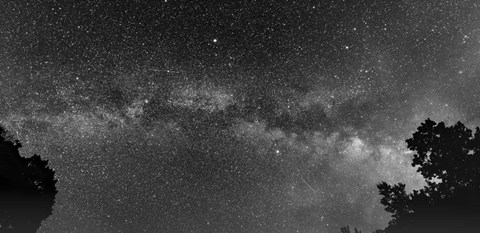 Framed Overarching Print