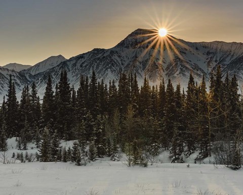 Framed Peeking Around The Peak Print