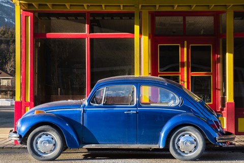 Framed Primary Colors Print