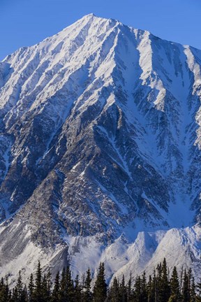 Framed Ragged Edges Print