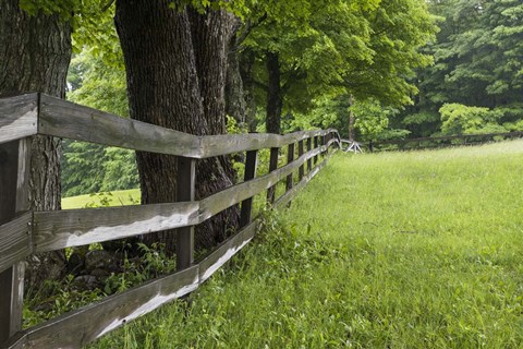 Framed Split Rail Fence Print
