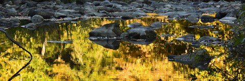 Framed Stream In Autumn Print