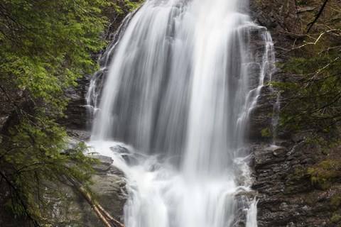 Framed Tranquility Print