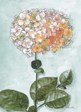 Framed Flowers Study 1 Blue Print