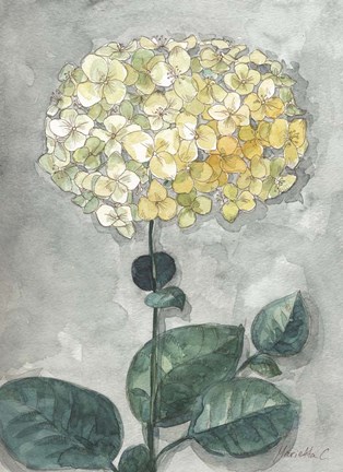 Framed Flowers Study 1 Print