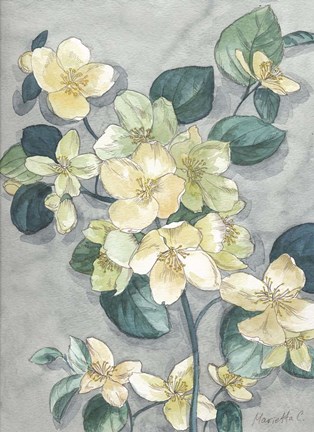 Framed Flowers Study 2 Print