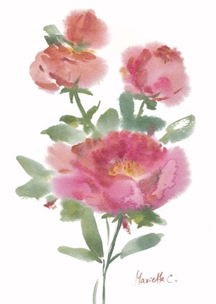 Framed Flower Series 1 Print