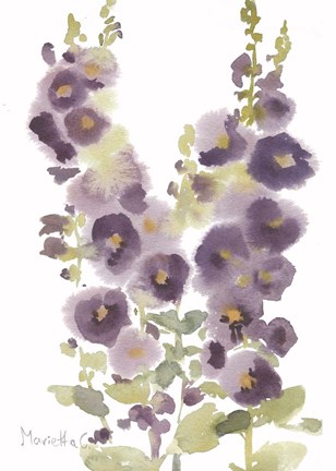 Framed Flower Series 2 Print