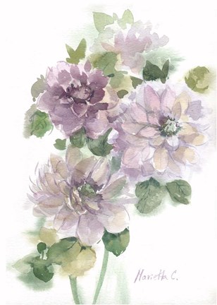 Framed Flower Series 3 Print