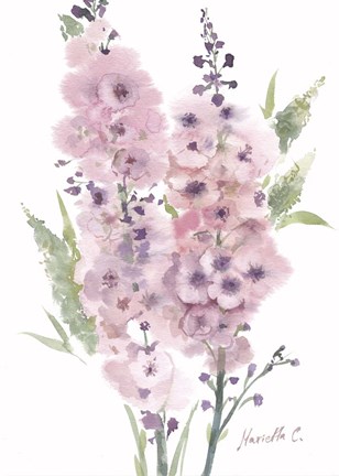 Framed Flower Series 4 Print