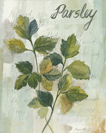 Framed Parsley Print