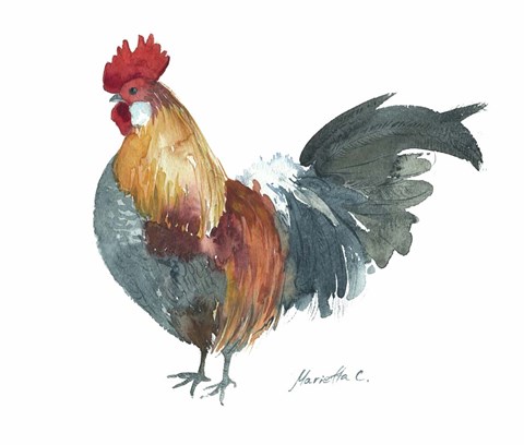 Framed Rooster A Print