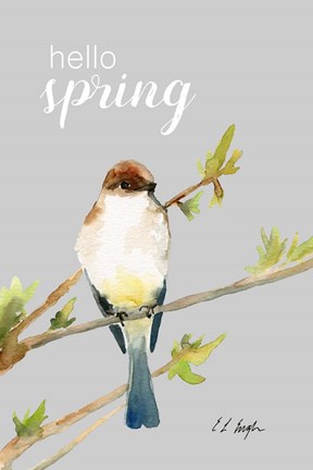 Framed Hello Spring Bird Print