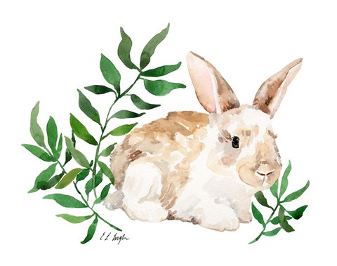Framed Tan Bunny Rabbit Print