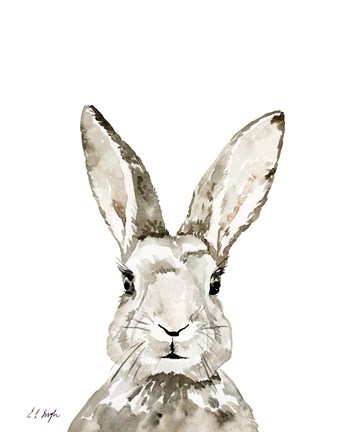 Framed Grey Bunny Print